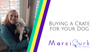 Buying a Crate for your Dog - Blog Image - Marci Burk Dog Training